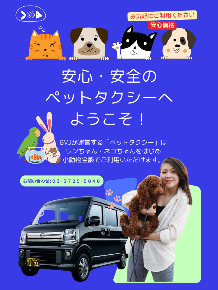 目黒区 動物輸送・目黒区 ペットタクシー・格安